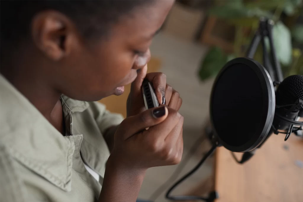 cours d'harmonica à domicile