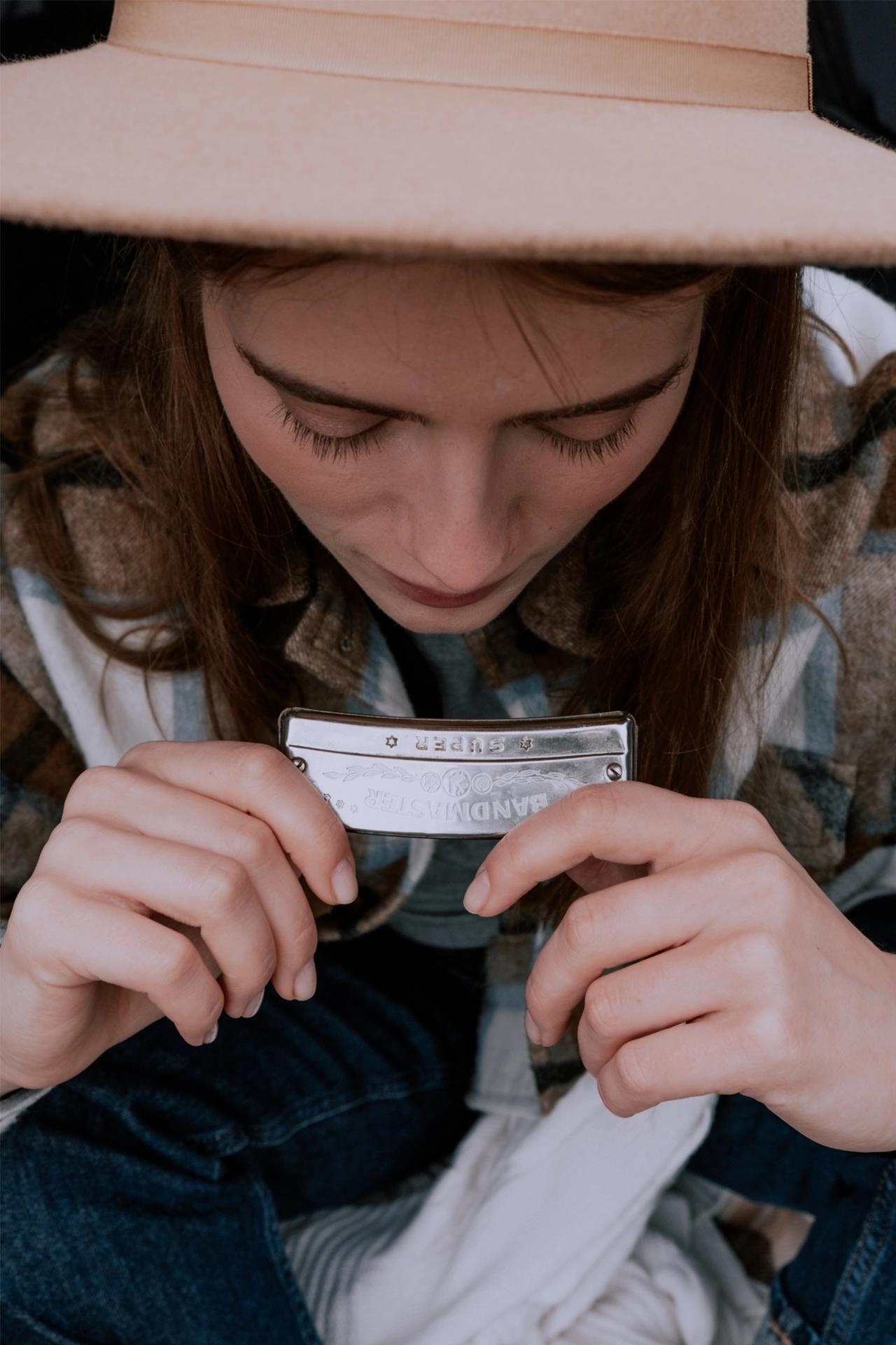 cours d'harmonica à domicile